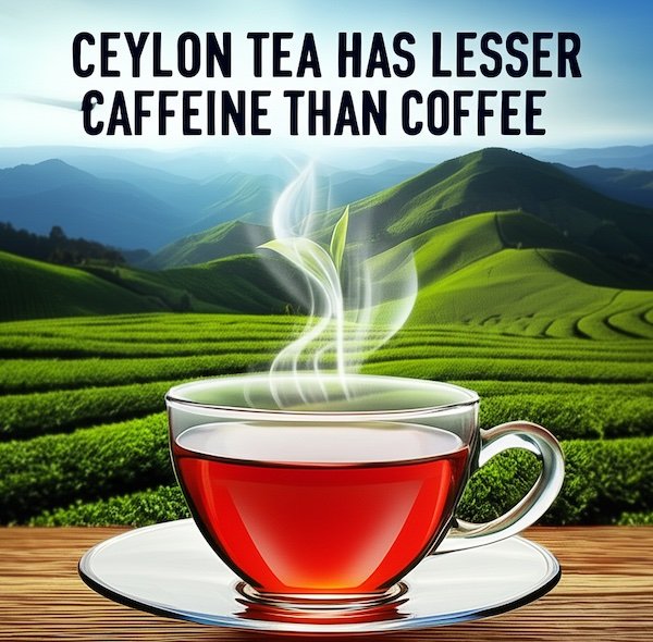 Ceylon Tea Caffeine Content Levels